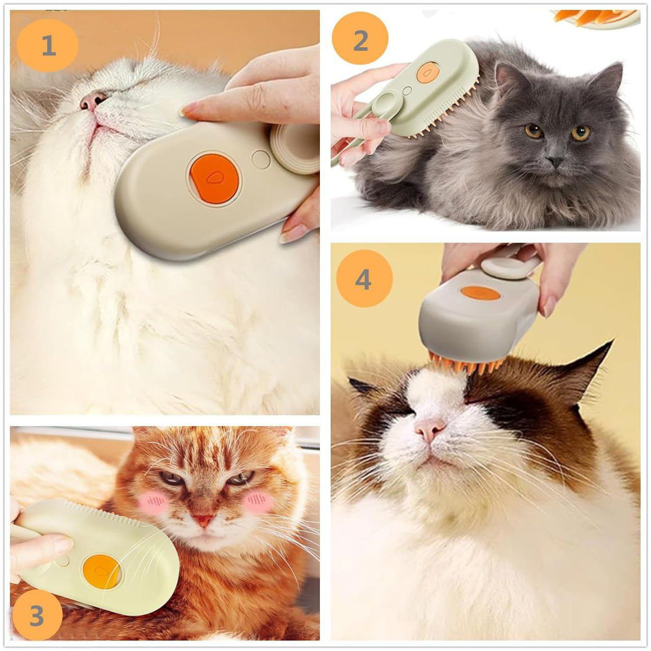 The Meow-ssage Spa Experience! 🐾